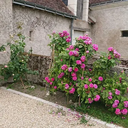 Longere Du Sud Touraine Au Coeur Du Val De Loire Villa Saint-Jean-Saint-Germain Exterior photo