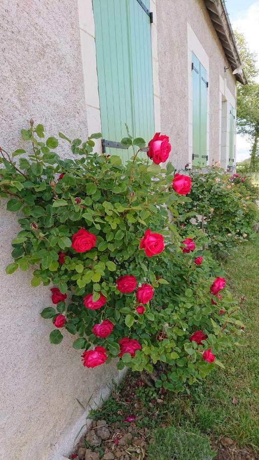 Longère Du Sud Touraine Au Coeur Du Val De Loire Hébergement de vacances *