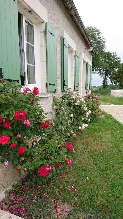 Longère Du Sud Touraine Au Coeur Du Val De Loire Saint-Jean-Saint-Germain